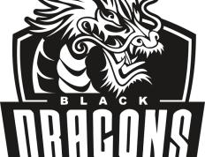 28圈-游泳赛场再起风云：塞北青龙队爆冷剑门火狐队，新援首秀制胜保级形势悄然变化的简单介绍